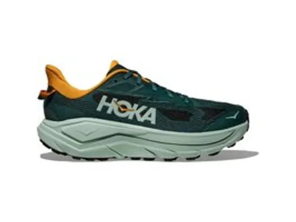 Hoka Men's Challenger 8 Bay Leaf/Sage